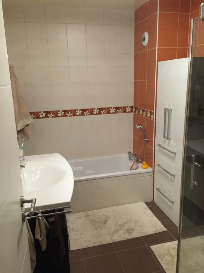 Appartement Des Trois Frontieres Apach Exteriör bild